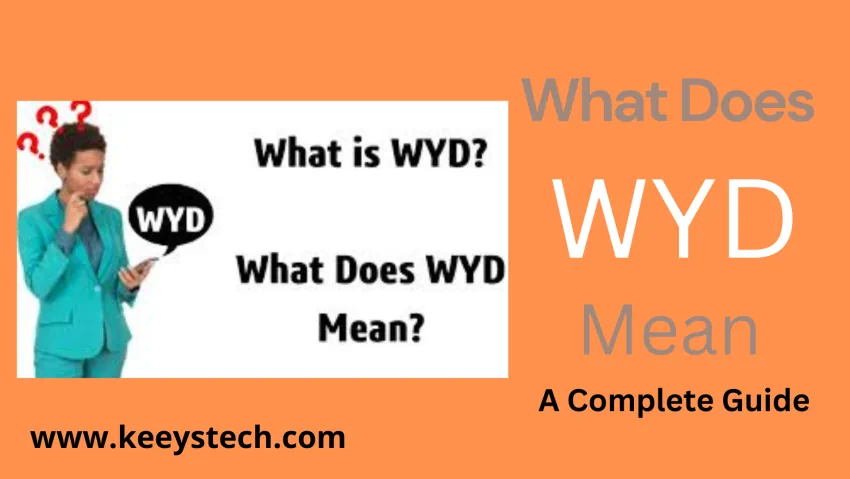 What Does WYD Mean A Complete Guide KeeysTech
