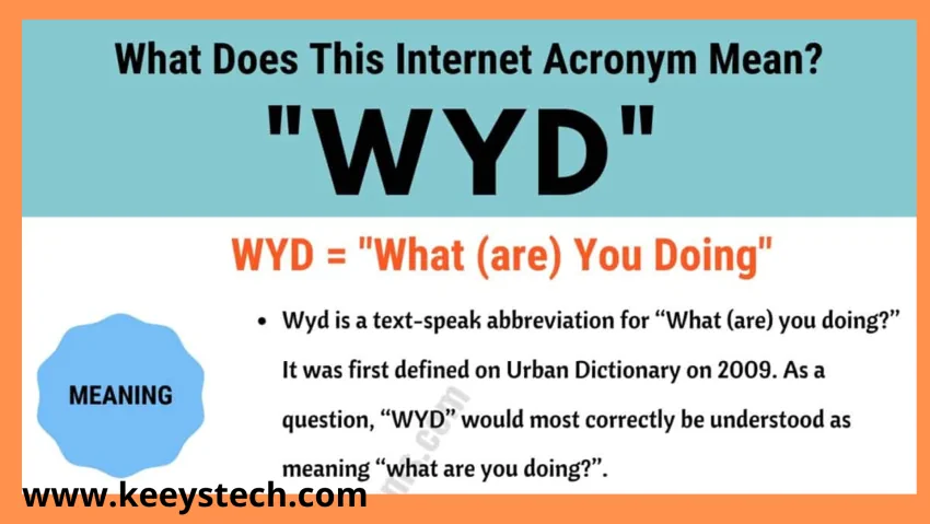 What Does WYD Mean A Complete Guide KeeysTech