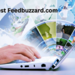 Exploring the Latest Trends and Features on Feedbuzzard.com